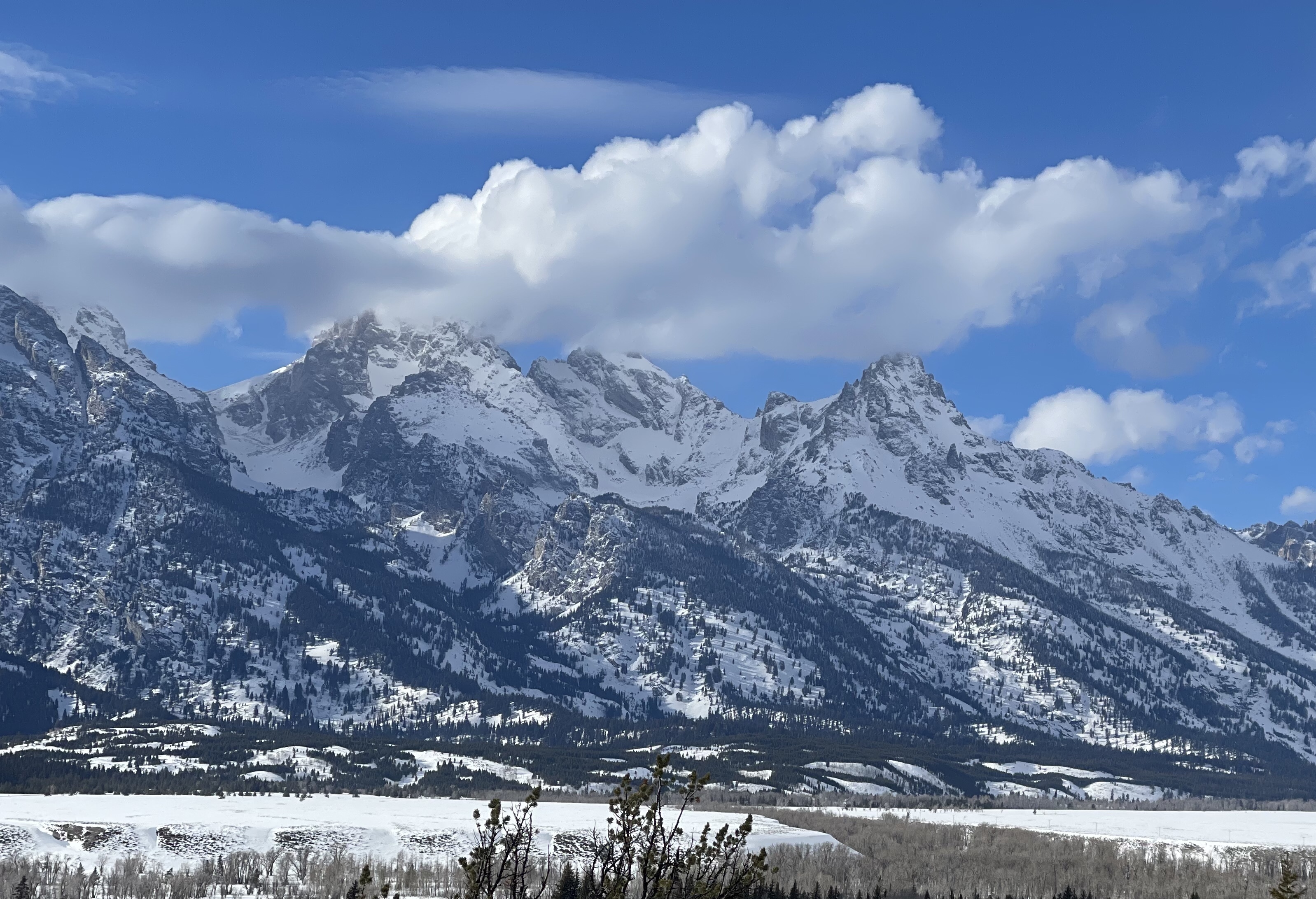 panoramic view of the Grand Teton Mountains